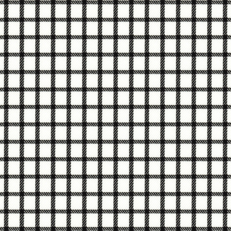 Image of a Black & White Twill Checks Giza Cotton Shirting Fabric