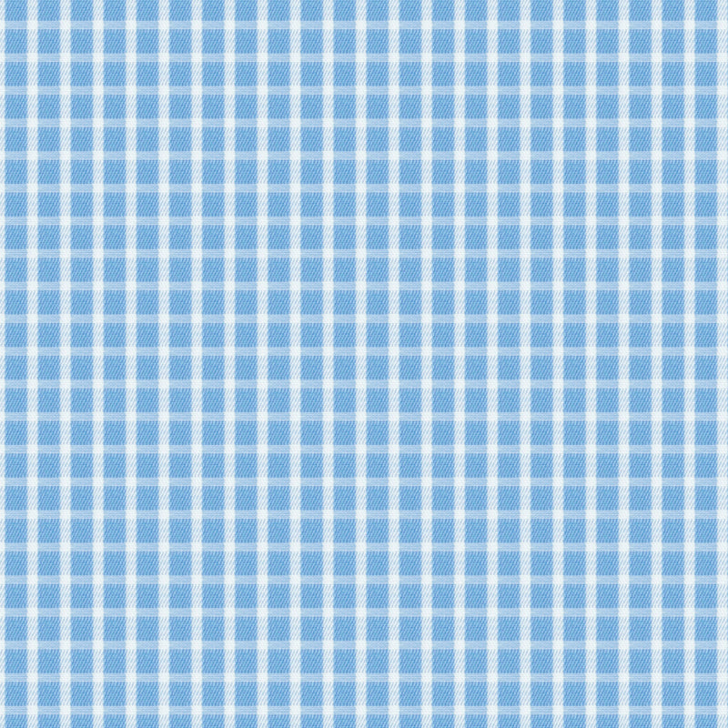 Image of a Blue & White Twill Checks Giza Cotton Shirting Fabric