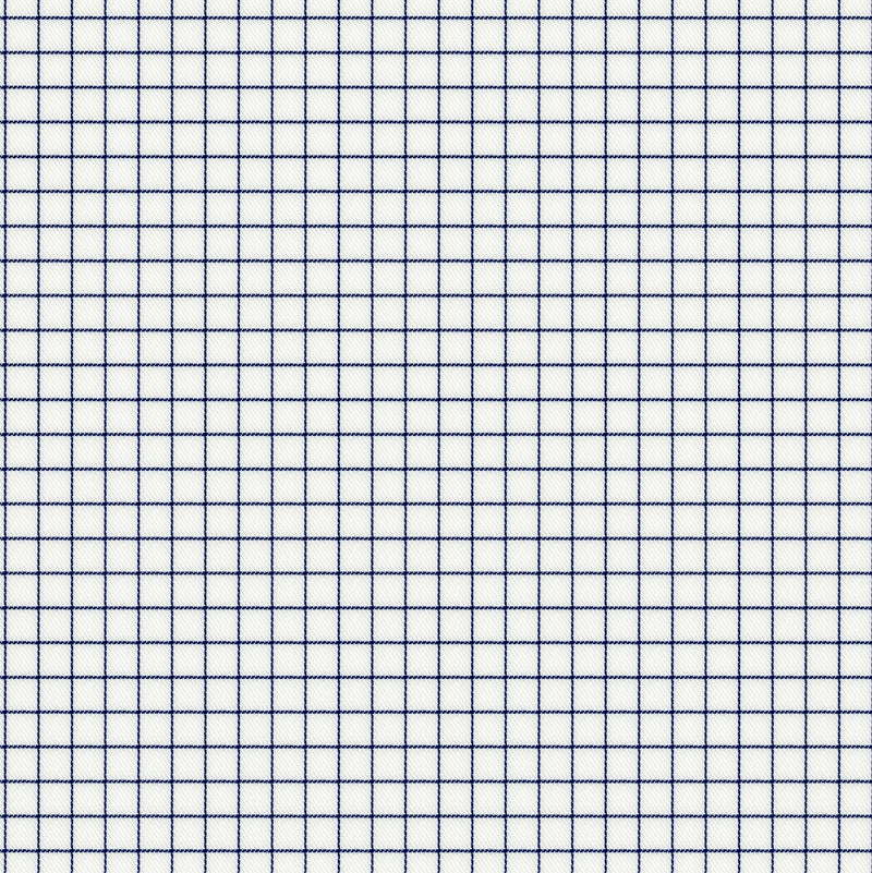 Image of a Blue & White Twill Checks Giza Cotton Shirting Fabric