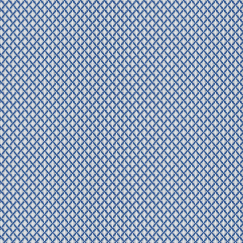 Image of a Blue Dobby Micropattern Giza Cotton Shirting Fabric